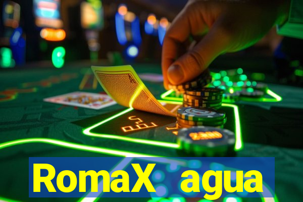 RomaX agua sanitaria fispq agua sanitaria romax